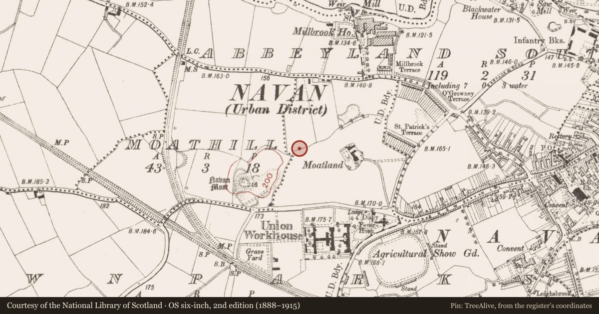 Ordnance Survey six-inch map, 2nd edition (1888–1915) covering the location of Graveslab (present location), Moathill, County Meath, with a pin at the register's coordinates