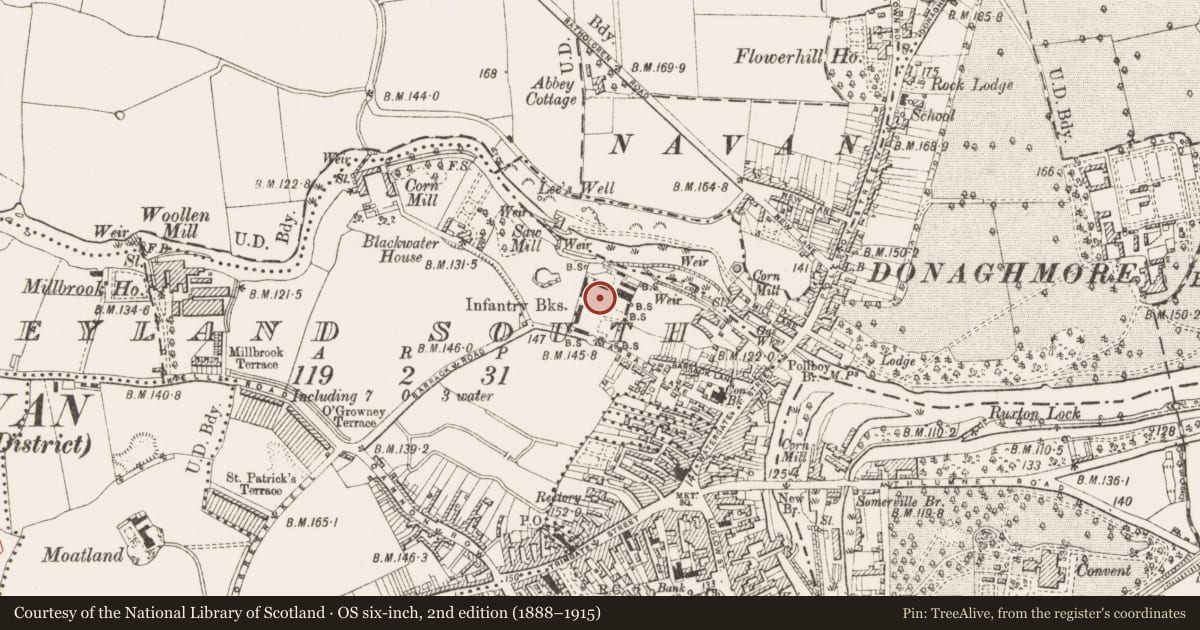 Ordnance Survey six-inch map, 2nd edition (1888–1915) covering the location of Tomb - chest tomb, Abbeyland South, County Meath, with a pin at the register's coordinates