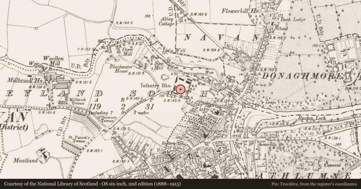 Ordnance Survey six-inch map, 2nd edition (1888–1915) covering the location of Stone sculpture, Abbeyland South, County Meath, with a pin at the register's coordinates