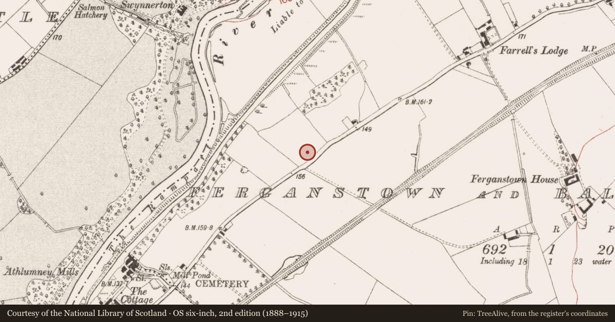 Ordnance Survey six-inch map, 2nd edition (1888–1915) covering the location of Barrow - unclassified, Ferganstown And Ballymacon, County Meath, with a pin at the register's coordinates