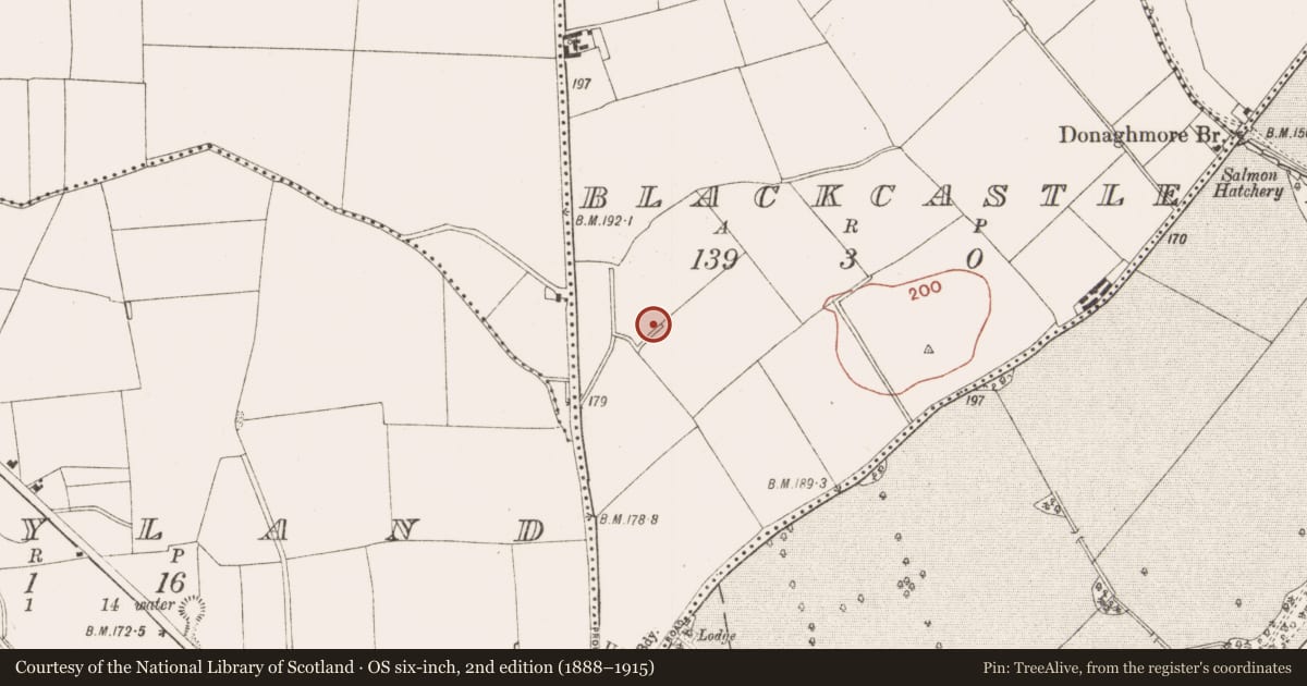 Ordnance Survey six-inch map, 2nd edition (1888–1915) covering the location of Font (present location), Blackcastle, County Meath, with a pin at the register's coordinates