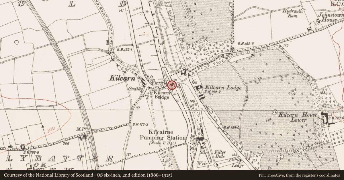 Ordnance Survey six-inch map, 2nd edition (1888–1915) covering the location of Bridge, County Meath, with a pin at the register's coordinates