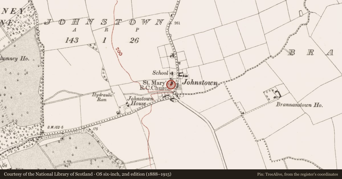 Ordnance Survey six-inch map, 2nd edition (1888–1915) covering the location of Stone sculpture (present location), Johnstown, County Meath, with a pin at the register's coordinates