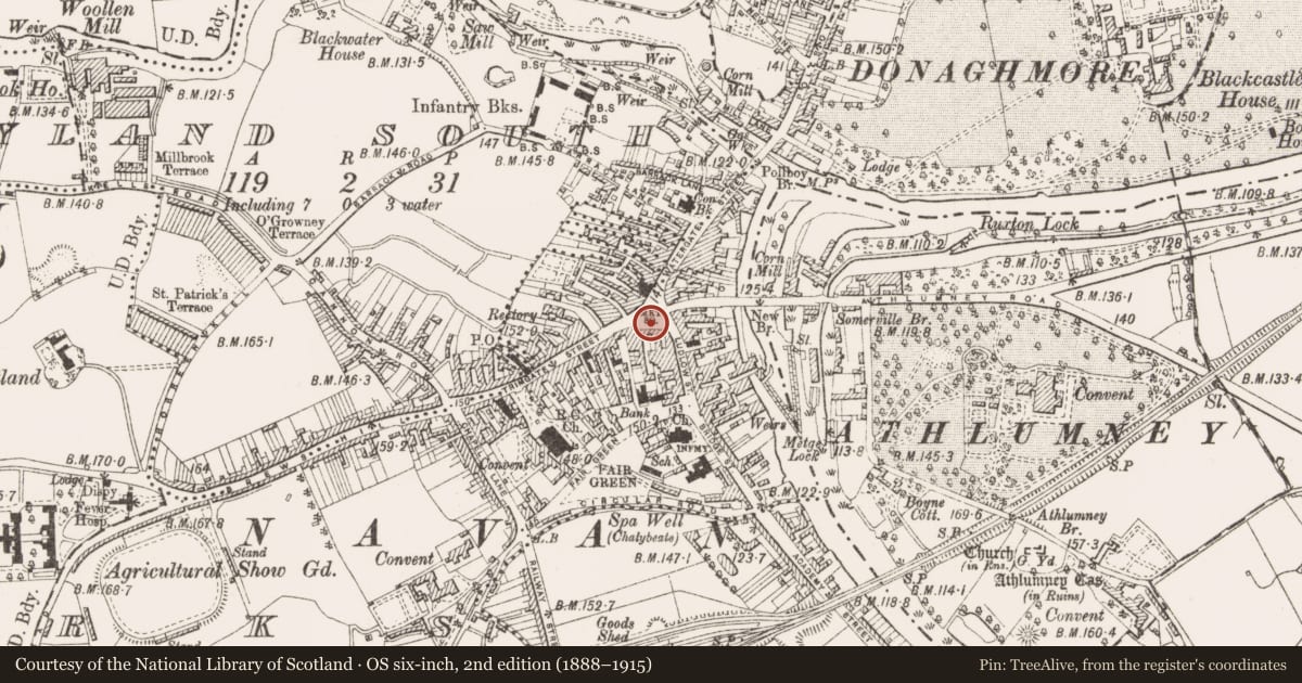 Ordnance Survey six-inch map, 2nd edition (1888–1915) covering the location of Cross - Market cross, Townparks, County Meath, with a pin at the register's coordinates