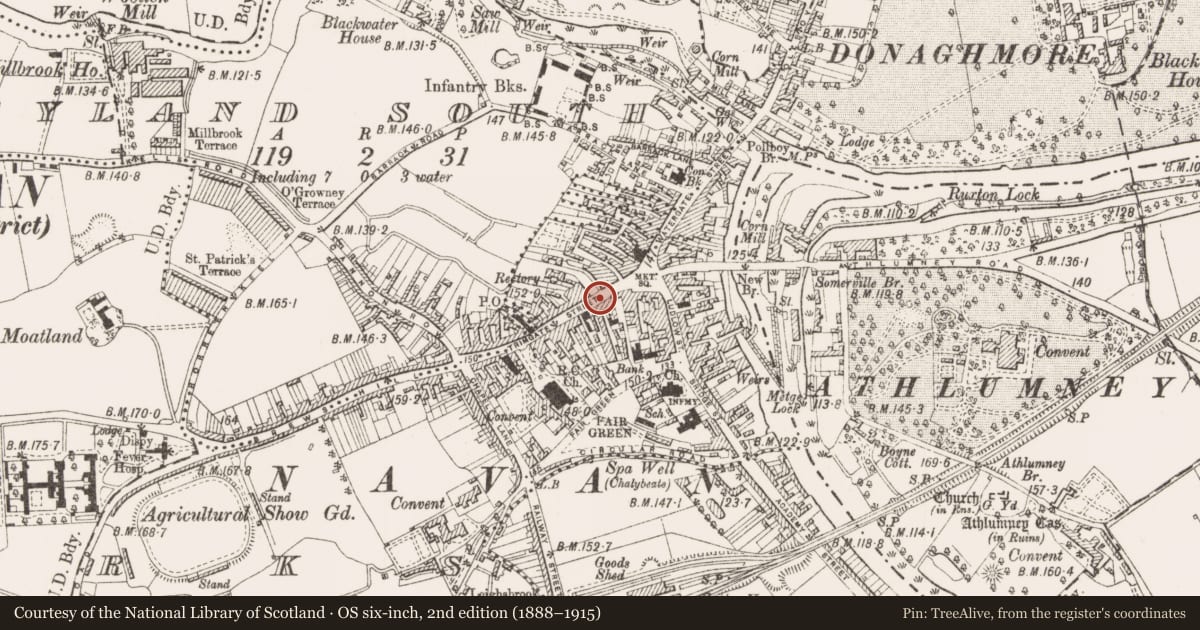 Ordnance Survey six-inch map, 2nd edition (1888–1915) covering the location of Town defences, Townparks, County Meath, with a pin at the register's coordinates