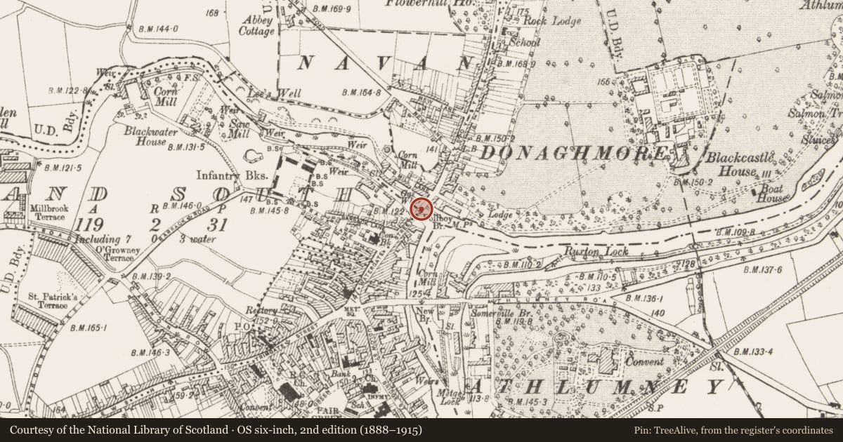 Ordnance Survey six-inch map, 2nd edition (1888–1915) covering the location of Bridge, Townparks, County Meath, with a pin at the register's coordinates