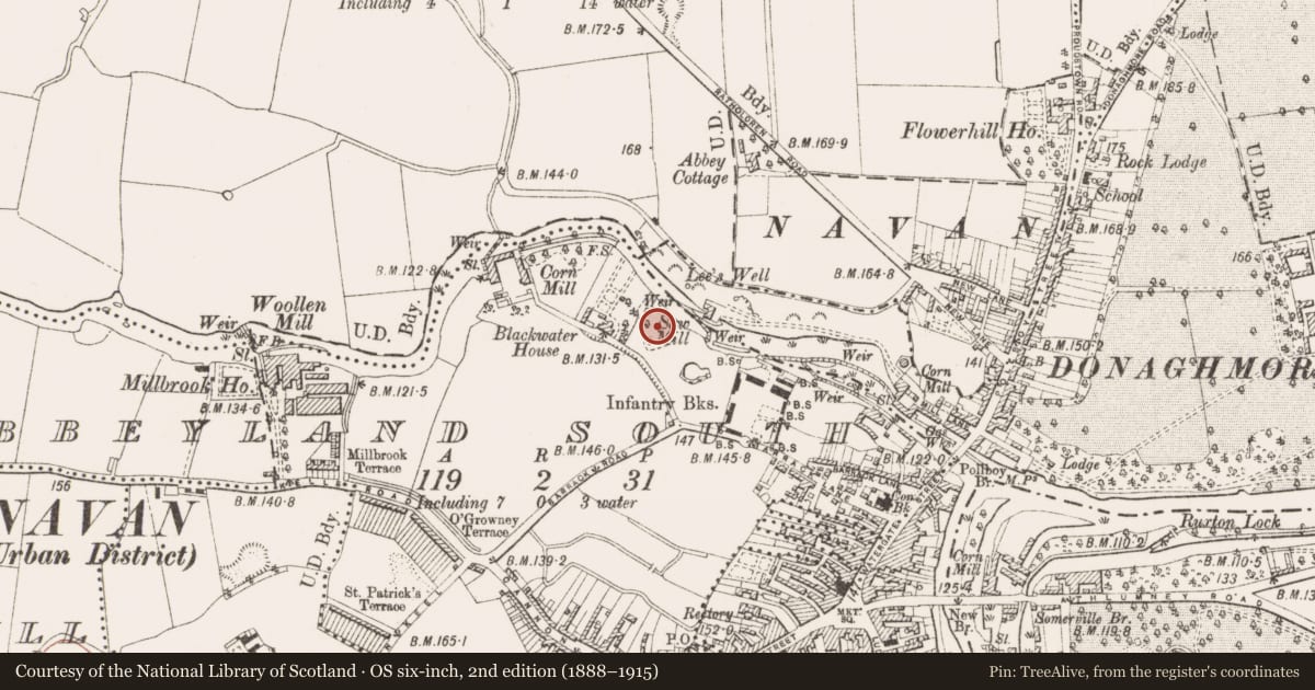 Ordnance Survey six-inch map, 2nd edition (1888–1915) covering the location of Road - road/trackway, Abbeyland South, County Meath, with a pin at the register's coordinates