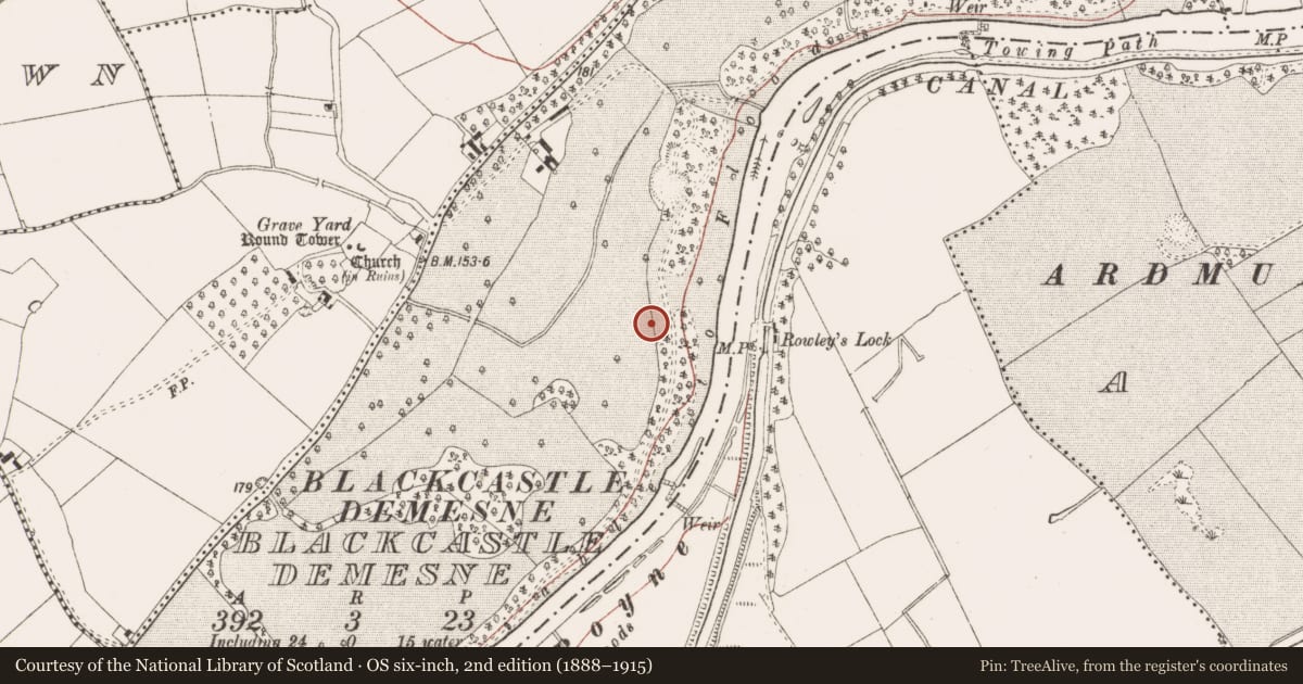 Ordnance Survey six-inch map, 2nd edition (1888–1915) covering the location of Flat cemetery, Blackcastle Demesne, County Meath, with a pin at the register's coordinates