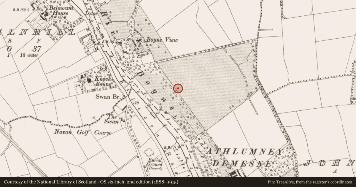 Ordnance Survey six-inch map, 2nd edition (1888–1915) covering the location of Souterrain, Athlumney, County Meath, with a pin at the register's coordinates