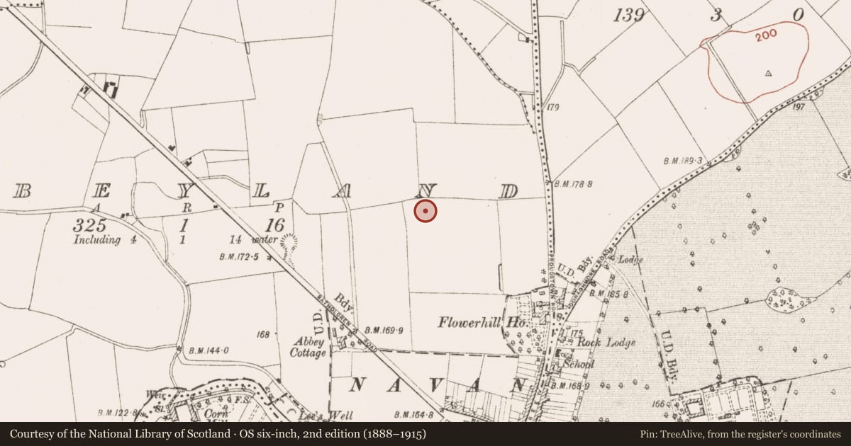 Ordnance Survey six-inch map, 2nd edition (1888–1915) covering the location of Enclosure, Abbeyland, County Meath, with a pin at the register's coordinates