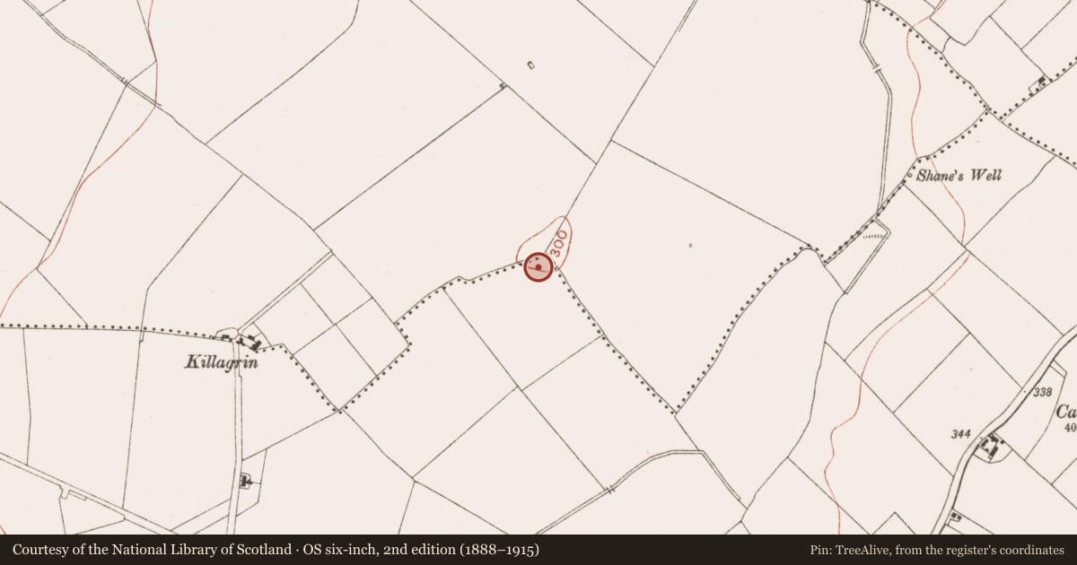 Ordnance Survey six-inch map, 2nd edition (1888–1915) covering the location of Souterrain, Alexander Reid, County Meath, with a pin at the register's coordinates