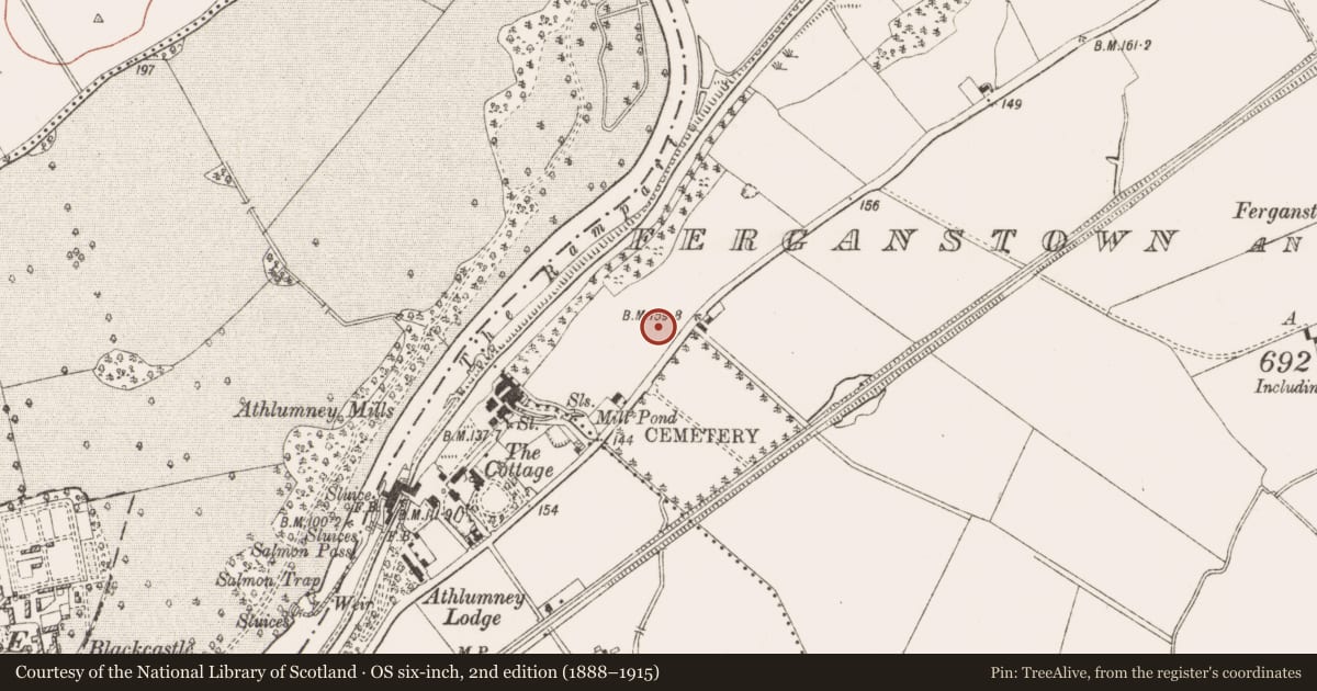 Ordnance Survey six-inch map, 2nd edition (1888–1915) covering the location of Enclosure, Ferganstown And Ballymacon, County Meath, with a pin at the register's coordinates