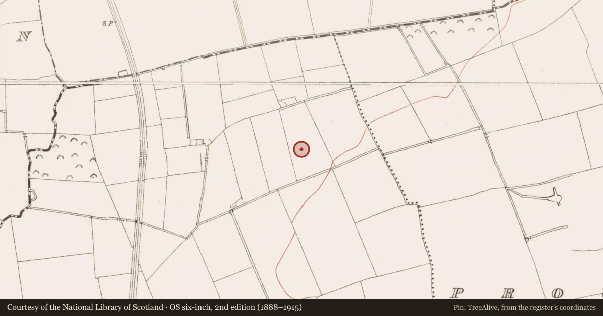 Ordnance Survey six-inch map, 2nd edition (1888–1915) covering the location of Excavation - miscellaneous, Simonstown, County Meath, with a pin at the register's coordinates