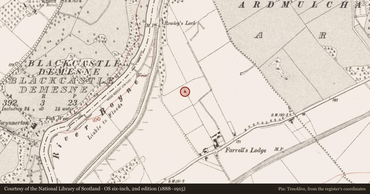 Ordnance Survey six-inch map, 2nd edition (1888–1915) covering the location of Souterrain, Ferganstown And Ballymacon, County Meath, with a pin at the register's coordinates