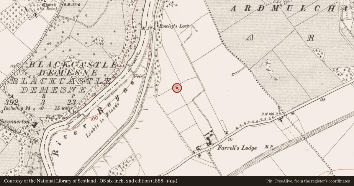 Ordnance Survey six-inch map, 2nd edition (1888–1915) covering the location of Excavation - miscellaneous, Ferganstown And Ballymacon, County Meath, with a pin at the register's coordinates