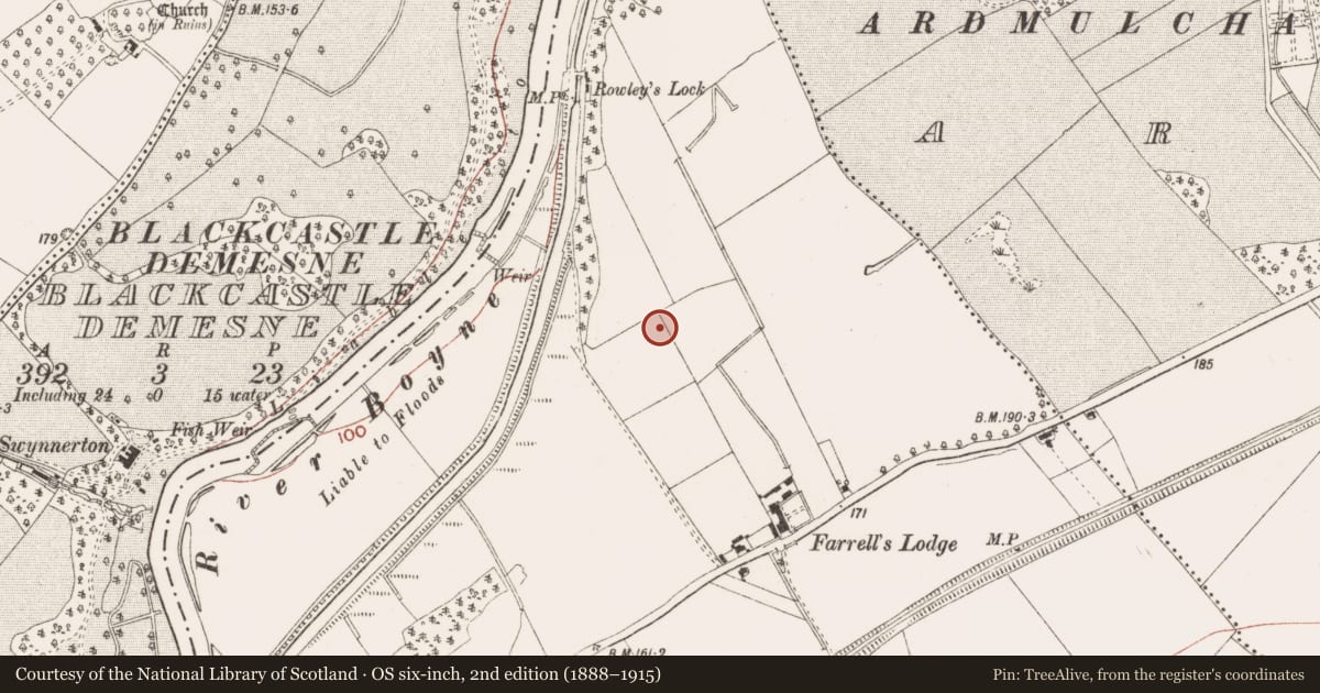 Ordnance Survey six-inch map, 2nd edition (1888–1915) covering the location of Hut site, Ferganstown And Ballymacon, County Meath, with a pin at the register's coordinates