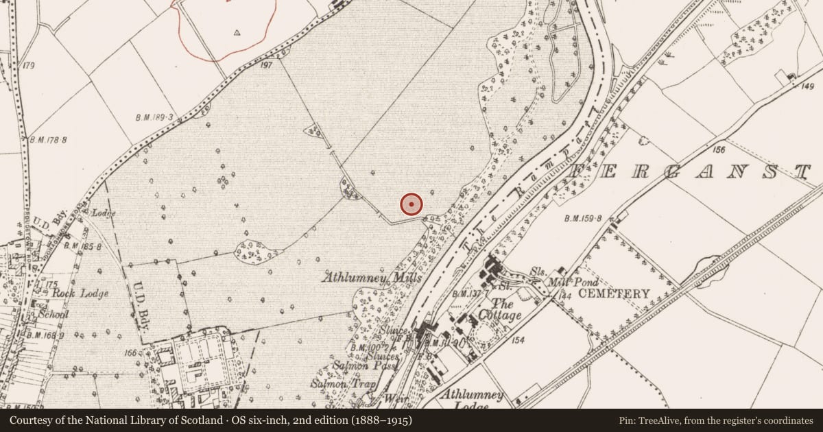 Ordnance Survey six-inch map, 2nd edition (1888–1915) covering the location of Excavation - miscellaneous, Blackcastle Demesne, County Meath, with a pin at the register's coordinates