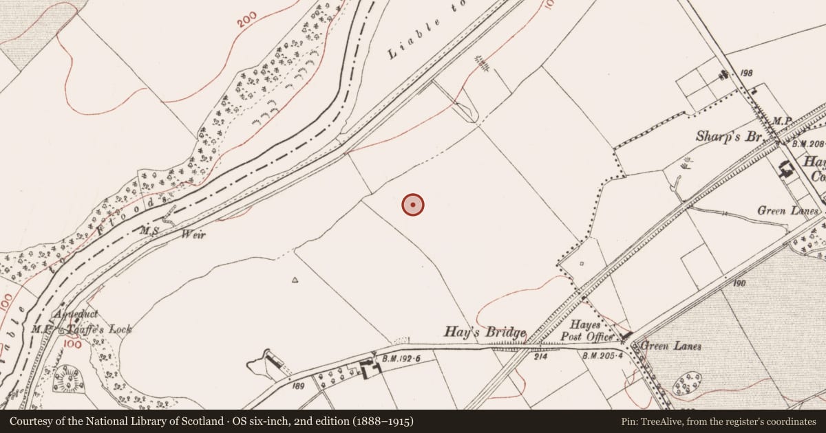 Ordnance Survey six-inch map, 2nd edition (1888–1915) covering the location of Ring-ditch, Ardmulchan, County Meath, with a pin at the register's coordinates