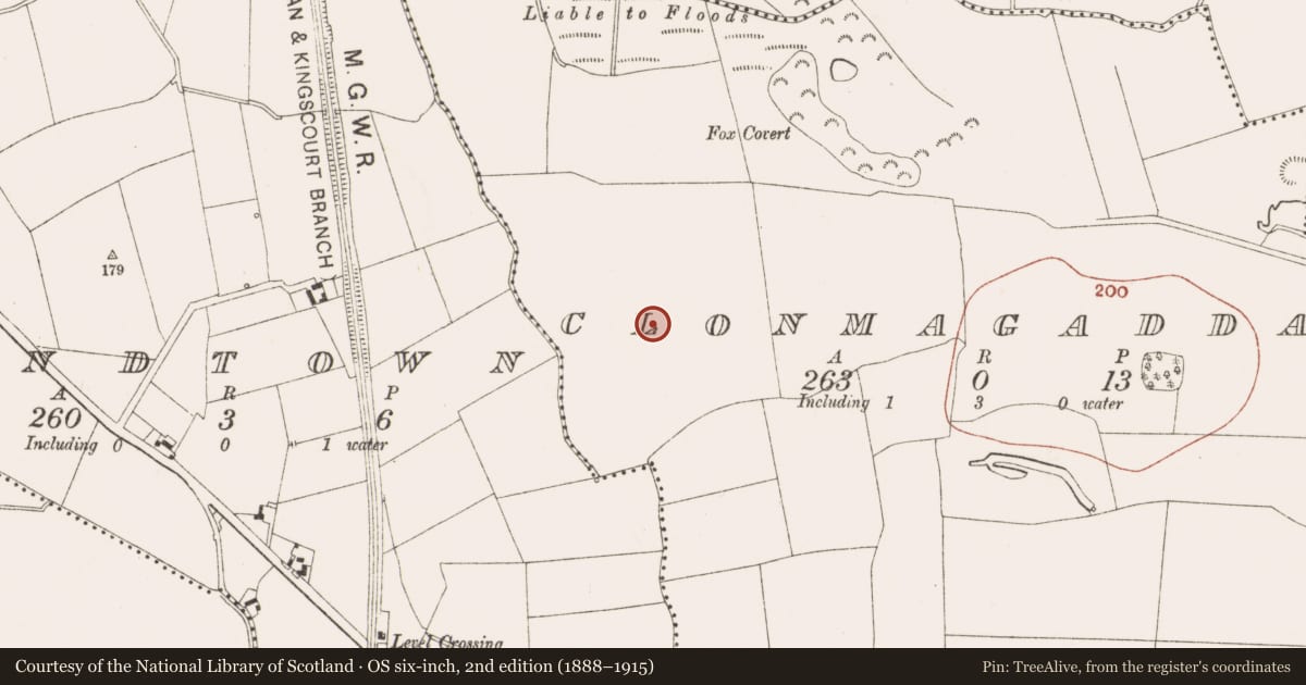 Ordnance Survey six-inch map, 2nd edition (1888–1915) covering the location of Enclosure, Clonmagaddan, County Meath, with a pin at the register's coordinates