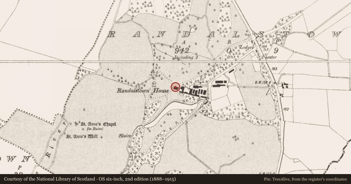 Ordnance Survey six-inch map, 2nd edition (1888–1915) covering the location of Castle - unclassified, Randalstown, County Meath, with a pin at the register's coordinates