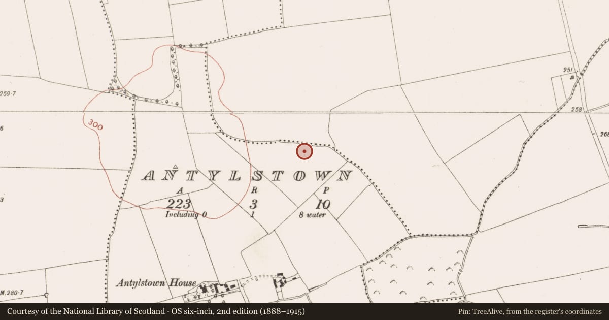 Ordnance Survey six-inch map, 2nd edition (1888–1915) covering the location of Enclosure, Antylstown, County Meath, with a pin at the register's coordinates