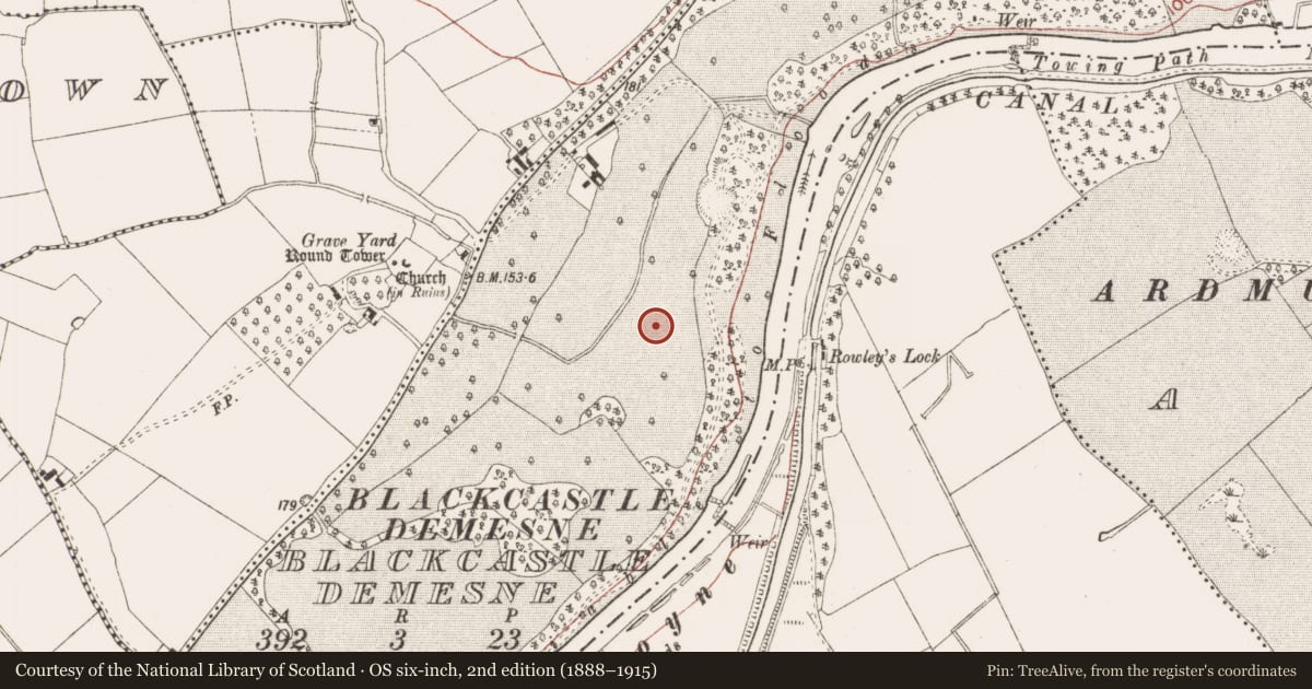 Ordnance Survey six-inch map, 2nd edition (1888–1915) covering the location of Ring-ditch, Blackcastle Demesne, County Meath, with a pin at the register's coordinates