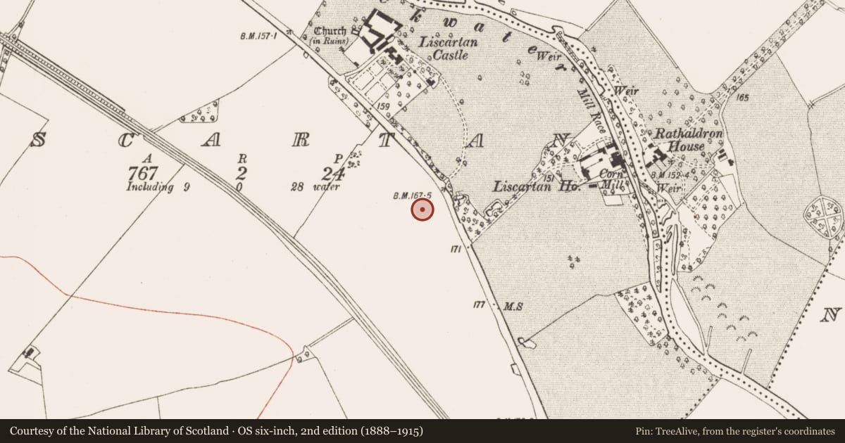Ordnance Survey six-inch map, 2nd edition (1888–1915) covering the location of Ring-ditch, Liscartan, County Meath, with a pin at the register's coordinates