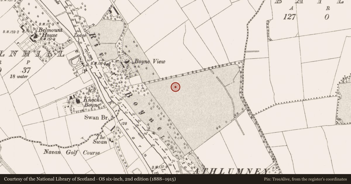 Ordnance Survey six-inch map, 2nd edition (1888–1915) covering the location of Burial ground, Athlumney, County Meath, with a pin at the register's coordinates