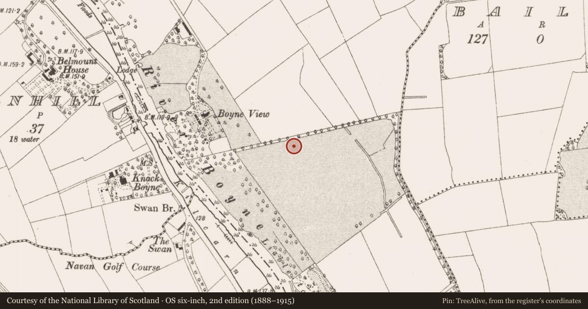 Ordnance Survey six-inch map, 2nd edition (1888–1915) covering the location of Enclosure, Athlumney, County Meath, with a pin at the register's coordinates