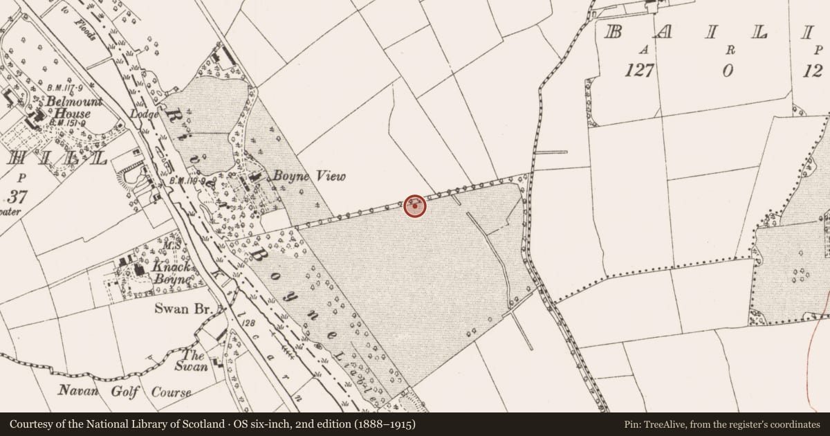 Ordnance Survey six-inch map, 2nd edition (1888–1915) covering the location of Ring-ditch, Athlumney, County Meath, with a pin at the register's coordinates