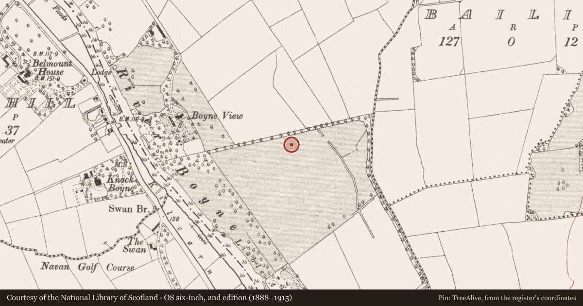 Ordnance Survey six-inch map, 2nd edition (1888–1915) covering the location of Hut site, Athlumney, County Meath, with a pin at the register's coordinates