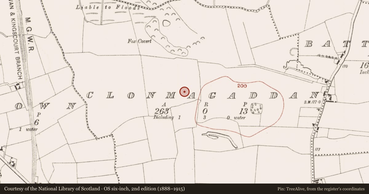 Ordnance Survey six-inch map, 2nd edition (1888–1915) covering the location of Ringfort - rath, Clonmagaddan, County Meath, with a pin at the register's coordinates