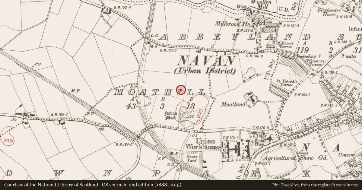 Ordnance Survey six-inch map, 2nd edition (1888–1915) covering the location of Enclosure, Moathill, County Meath, with a pin at the register's coordinates