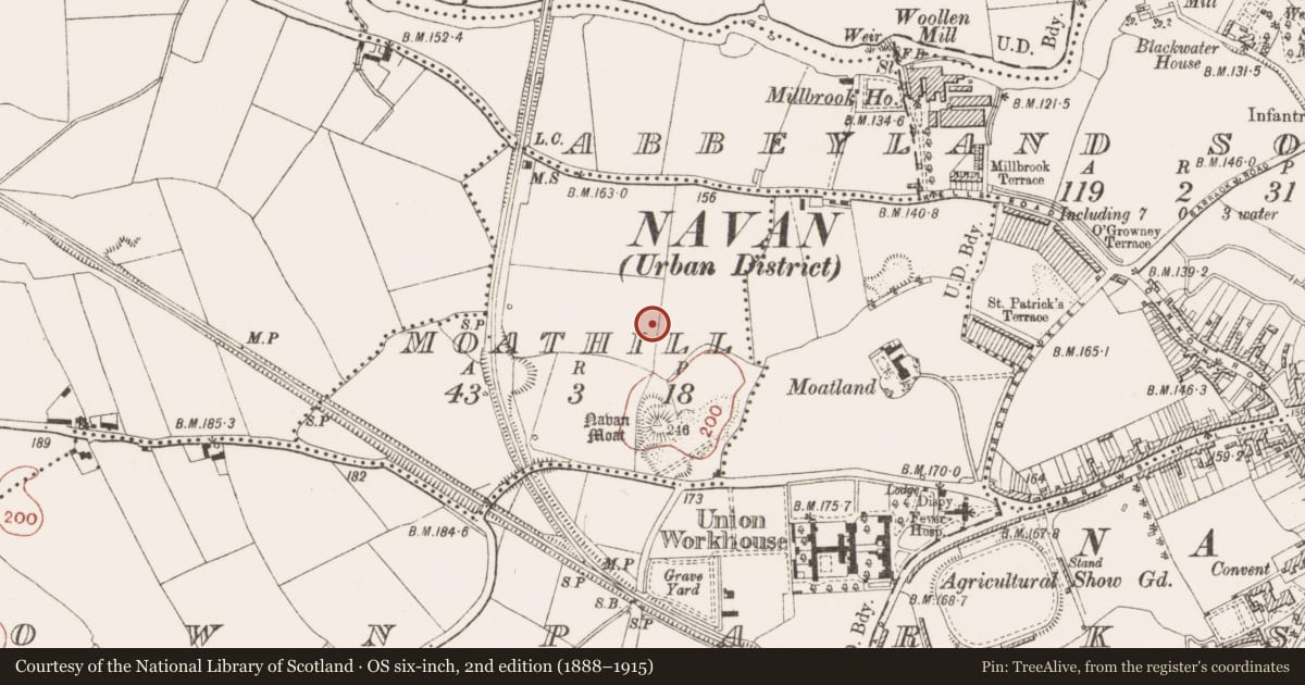 Ordnance Survey six-inch map, 2nd edition (1888–1915) covering the location of Ring-ditch, Moathill, County Meath, with a pin at the register's coordinates