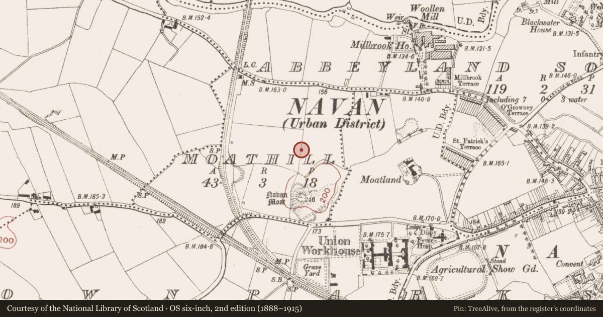 Ordnance Survey six-inch map, 2nd edition (1888–1915) covering the location of Metalworking site, Moathill, County Meath, with a pin at the register's coordinates