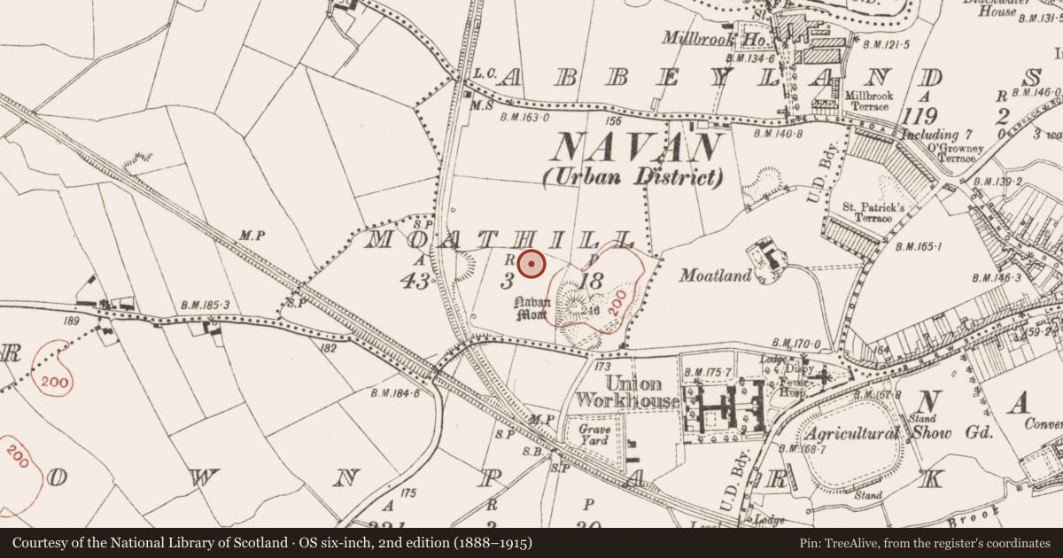 Ordnance Survey six-inch map, 2nd edition (1888–1915) covering the location of Field system, Moathill, County Meath, with a pin at the register's coordinates