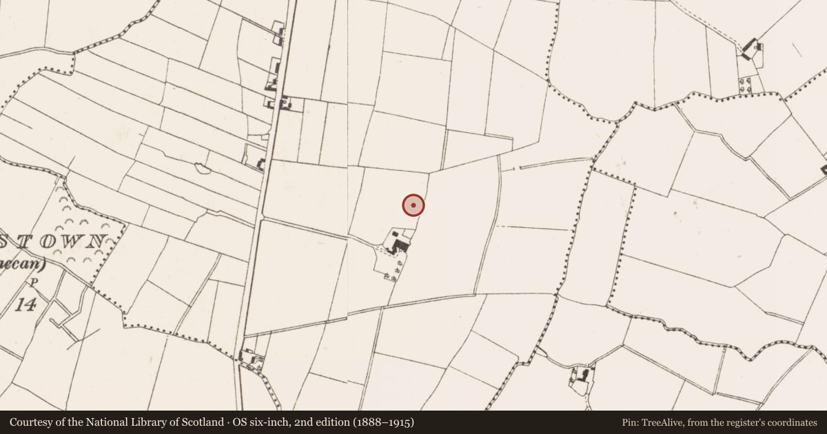 Ordnance Survey six-inch map, 2nd edition (1888–1915) covering the location of Fulacht fia, Ardbraccan, County Meath, with a pin at the register's coordinates