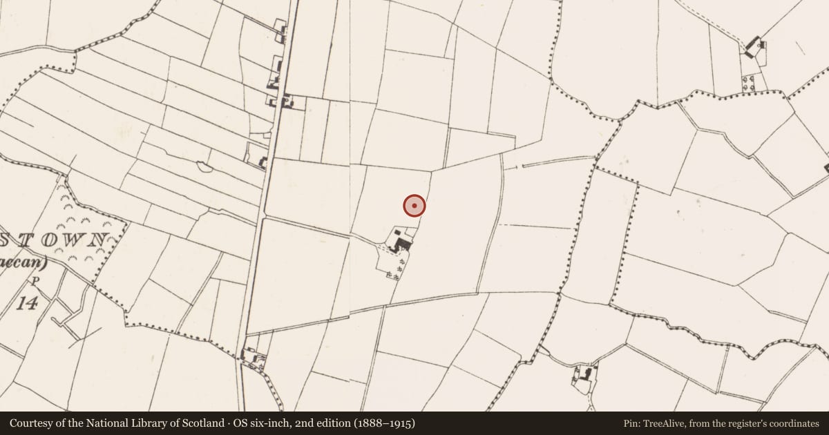 Ordnance Survey six-inch map, 2nd edition (1888–1915) covering the location of Fulacht fia, Ardbraccan, County Meath, with a pin at the register's coordinates