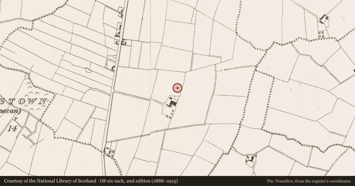 Ordnance Survey six-inch map, 2nd edition (1888–1915) covering the location of Cistern, Ardbraccan, County Meath, with a pin at the register's coordinates