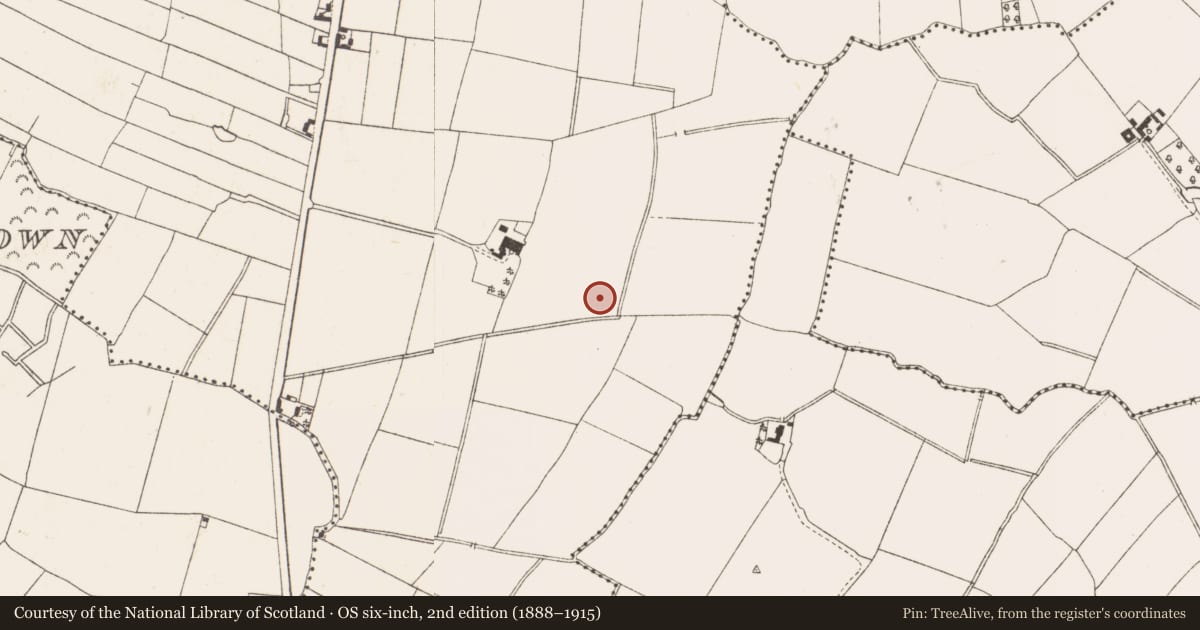 Ordnance Survey six-inch map, 2nd edition (1888–1915) covering the location of Field boundary, Ardbraccan, County Meath, with a pin at the register's coordinates