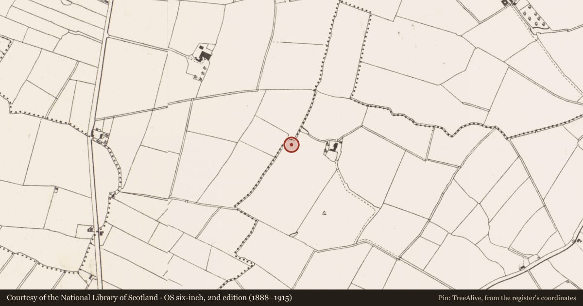 Ordnance Survey six-inch map, 2nd edition (1888–1915) covering the location of Fulacht fia, Boyerstown, County Meath, with a pin at the register's coordinates