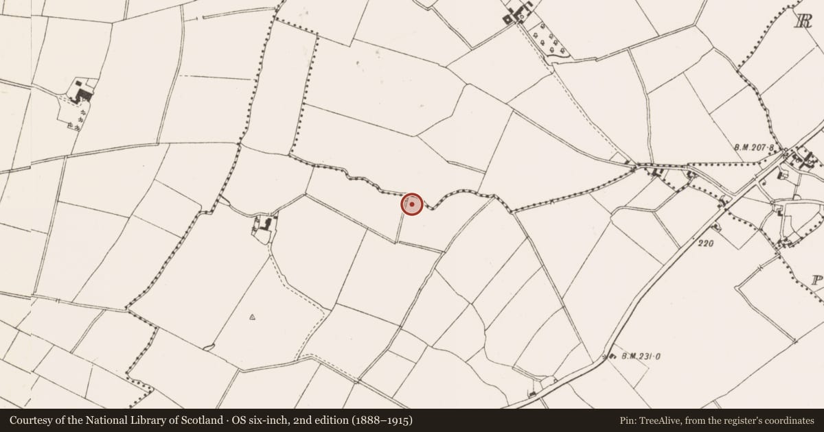 Ordnance Survey six-inch map, 2nd edition (1888–1915) covering the location of Fulacht fia, Boyerstown, County Meath, with a pin at the register's coordinates