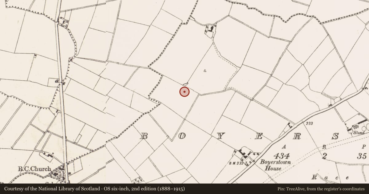Ordnance Survey six-inch map, 2nd edition (1888–1915) covering the location of Pit, Boyerstown, County Meath, with a pin at the register's coordinates