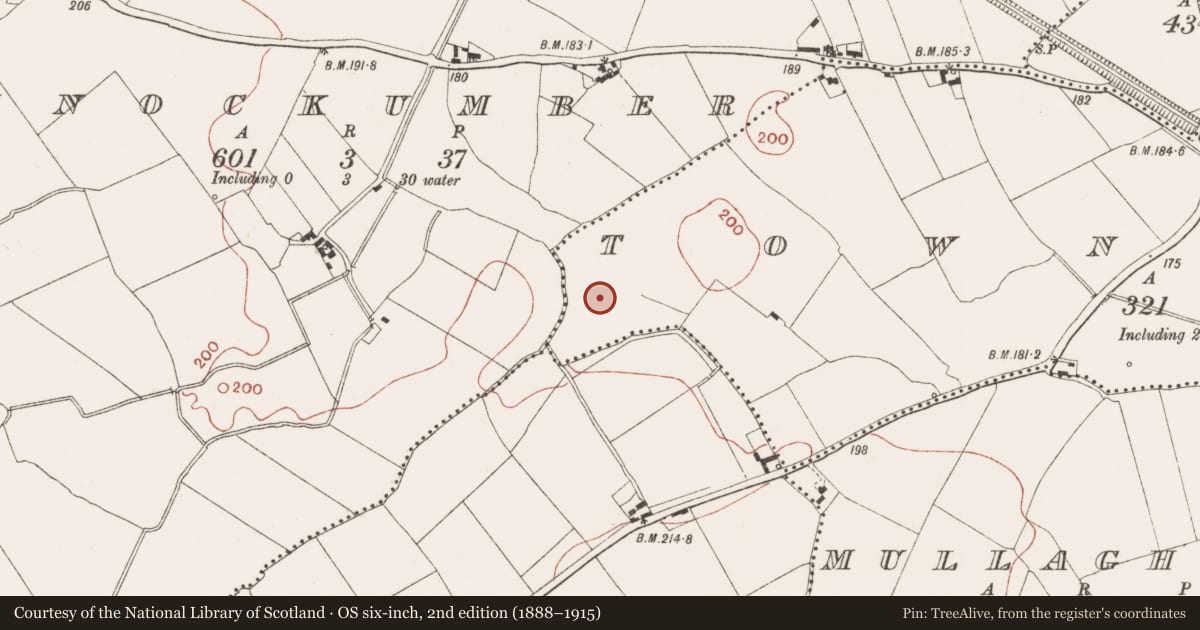 Ordnance Survey six-inch map, 2nd edition (1888–1915) covering the location of Fulacht fia, Townparks, County Meath, with a pin at the register's coordinates