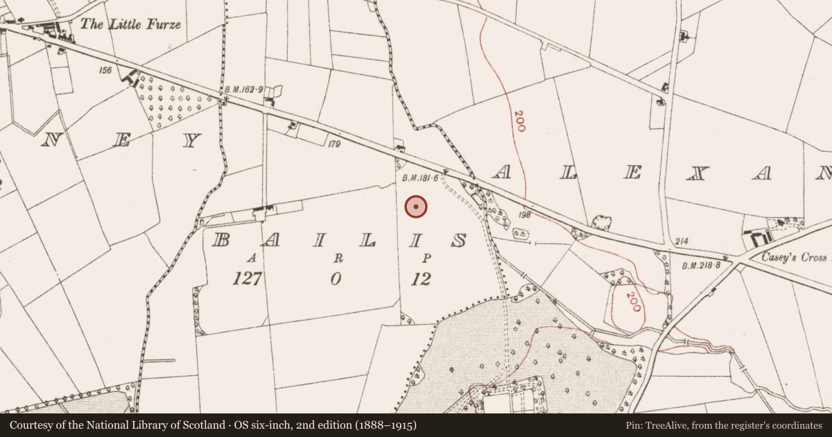 Ordnance Survey six-inch map, 2nd edition (1888–1915) covering the location of House - 17th century, Bailis, County Meath, with a pin at the register's coordinates