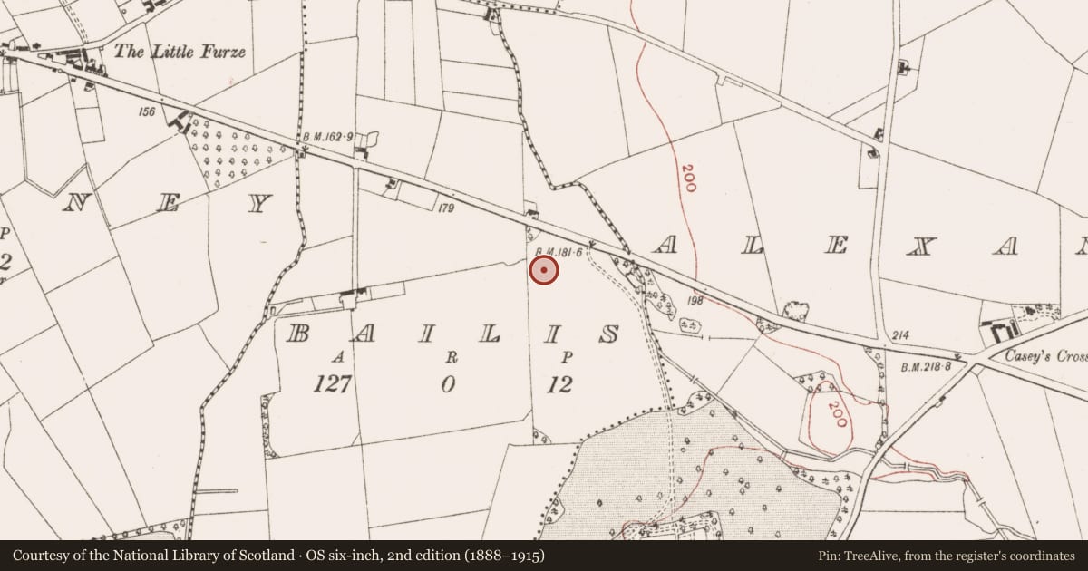 Ordnance Survey six-inch map, 2nd edition (1888–1915) covering the location of Cistern, Bailis, County Meath, with a pin at the register's coordinates