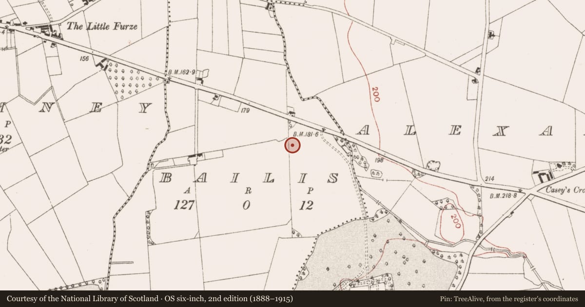 Ordnance Survey six-inch map, 2nd edition (1888–1915) covering the location of Field system, Bailis, County Meath, with a pin at the register's coordinates