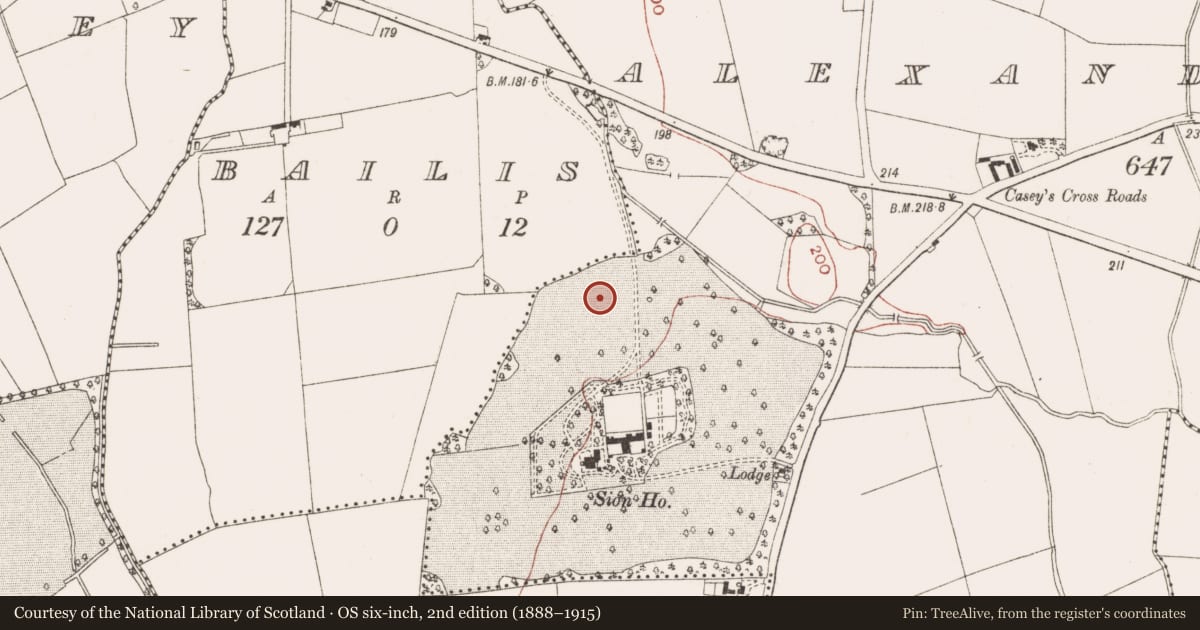 Ordnance Survey six-inch map, 2nd edition (1888–1915) covering the location of Hut site, Alexander Reid, County Meath, with a pin at the register's coordinates