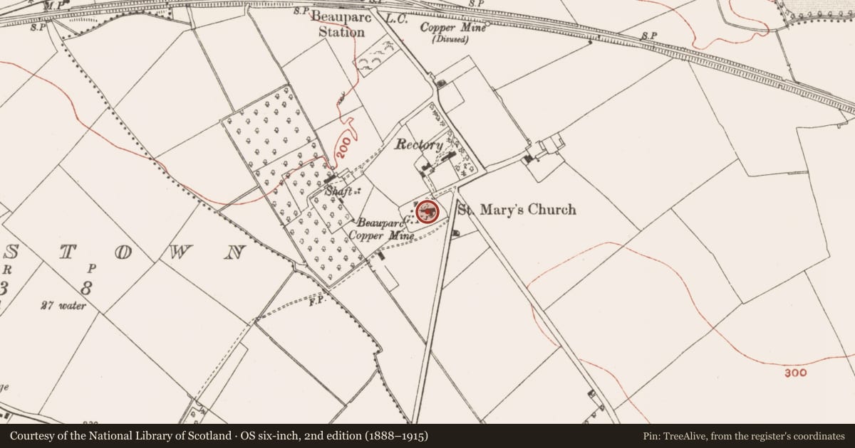 Ordnance Survey six-inch map, 2nd edition (1888–1915) covering the location of Church, Painestown (Duleek Lower By., Painestown Par.), County Meath, with a pin at the register's coordinates