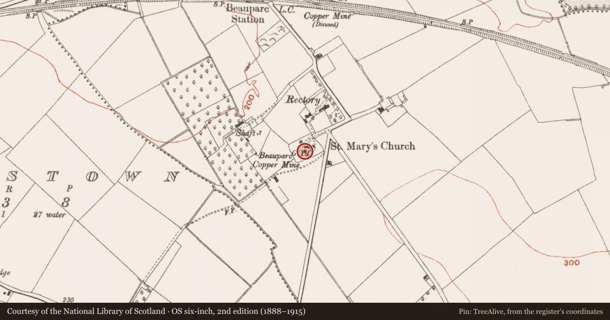 Ordnance Survey six-inch map, 2nd edition (1888–1915) covering the location of Graveyard, Painestown (Duleek Lower By., Painestown Par.), County Meath, with a pin at the register's coordinates